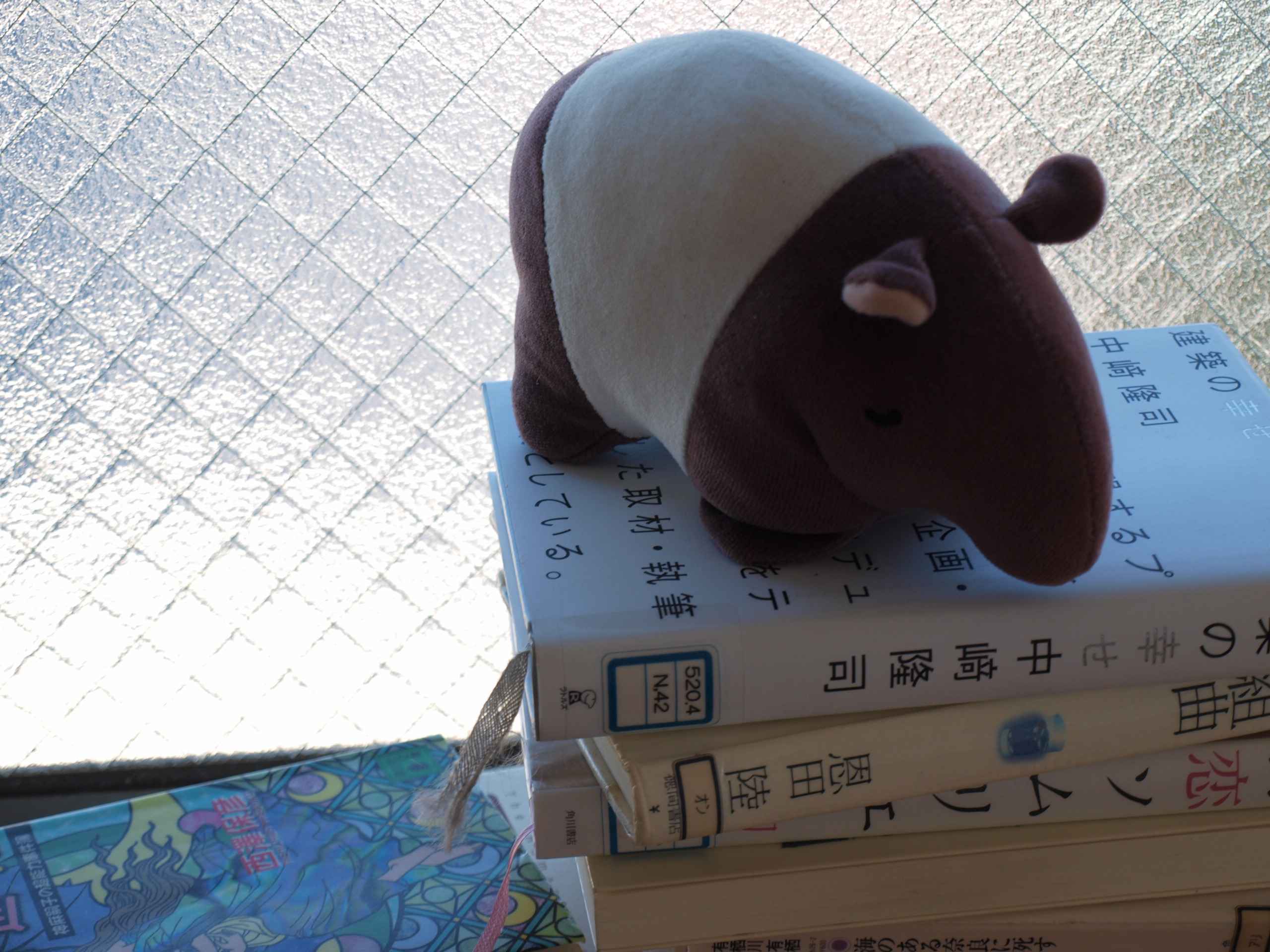 shirokuma