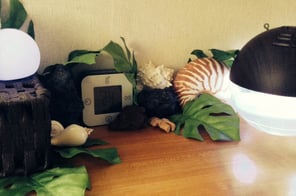 棚の上