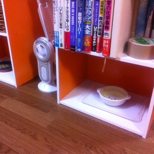 アイリスオーヤマのカラーボックス。