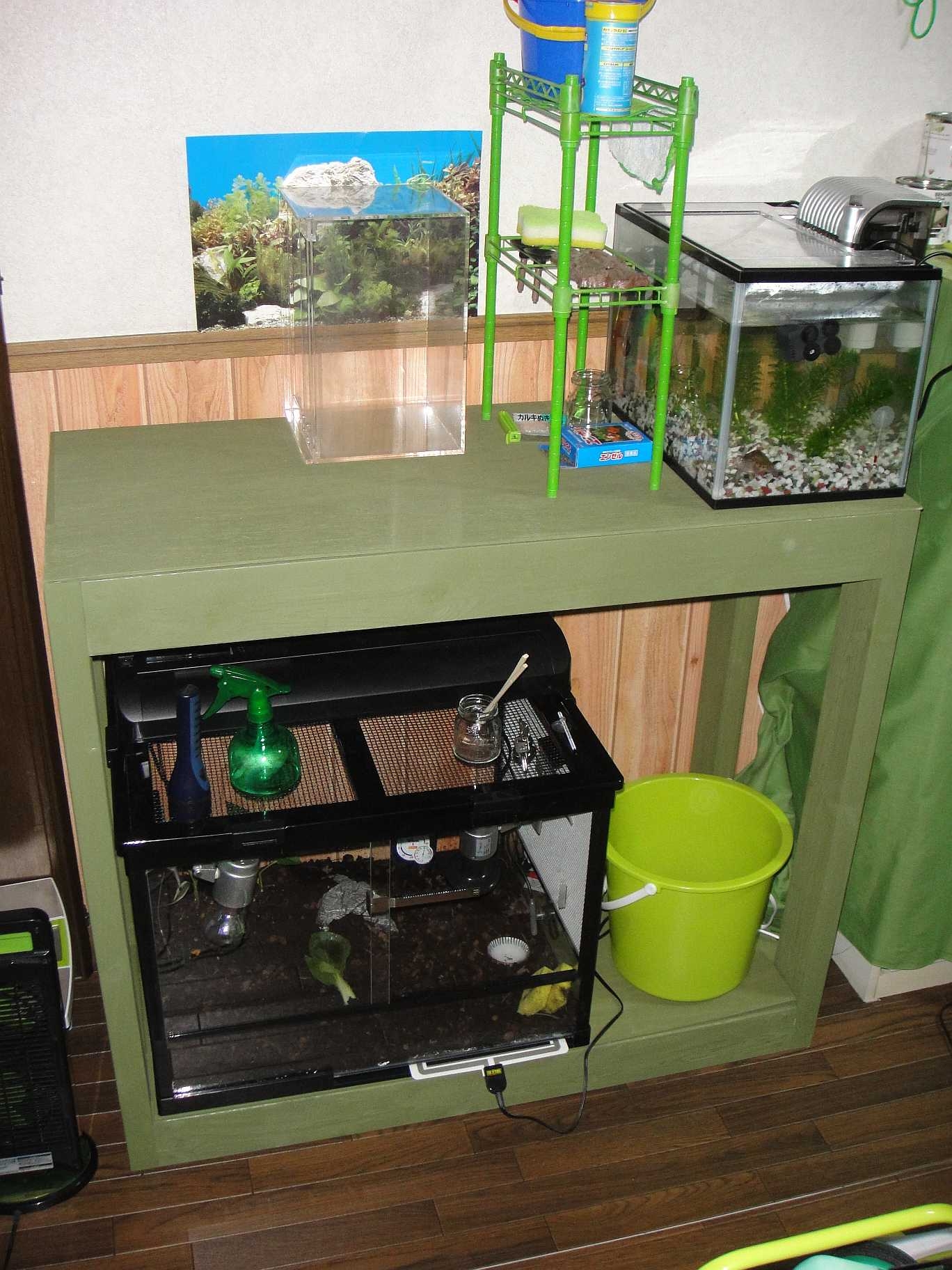 生き物エリア