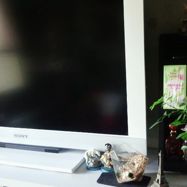 テレビ周り