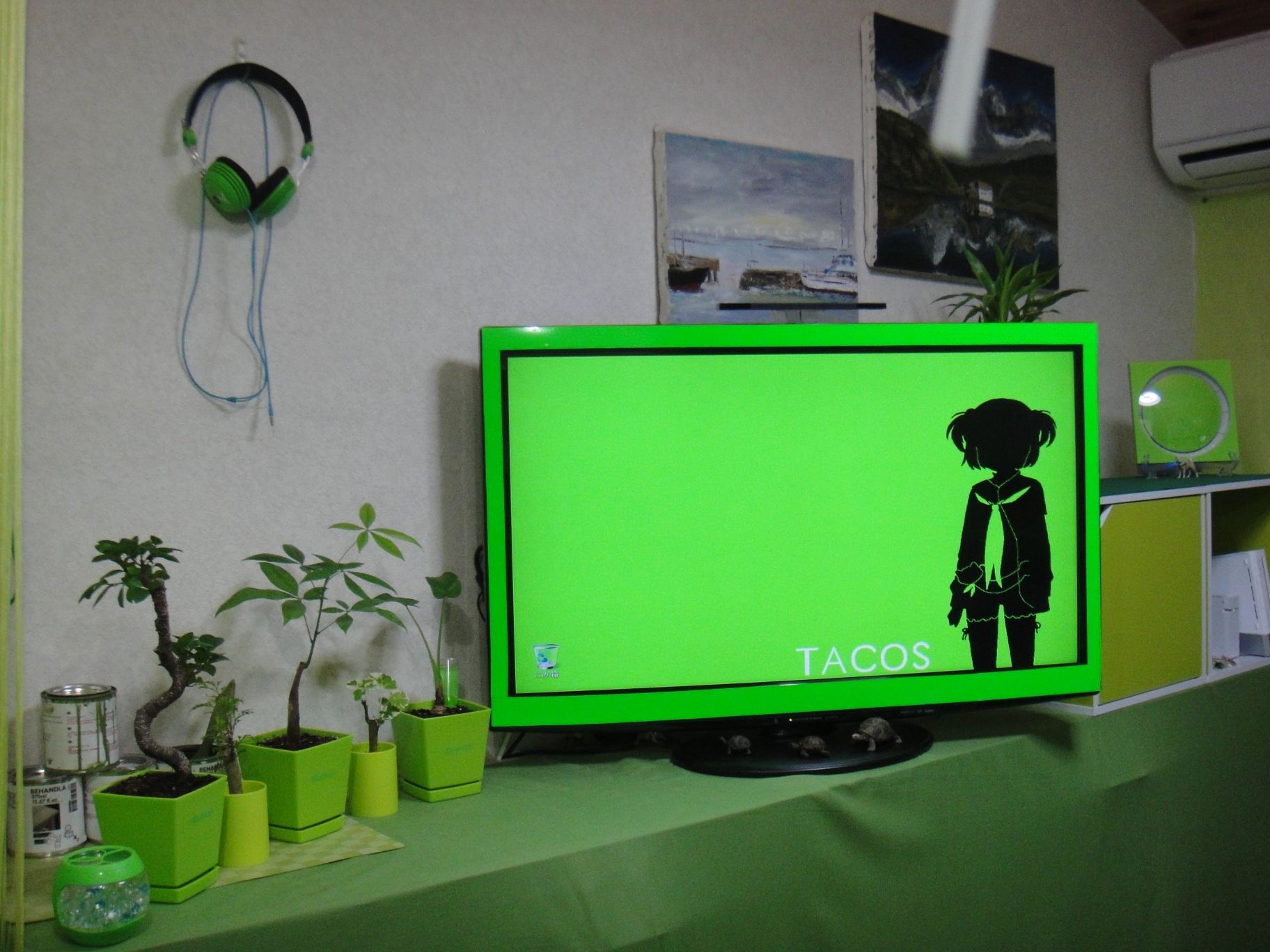 TV