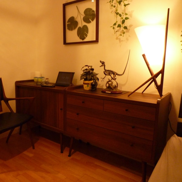 恐竜の居る部屋