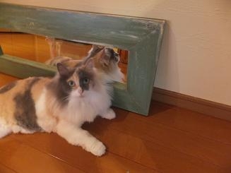 シャビーなミラー