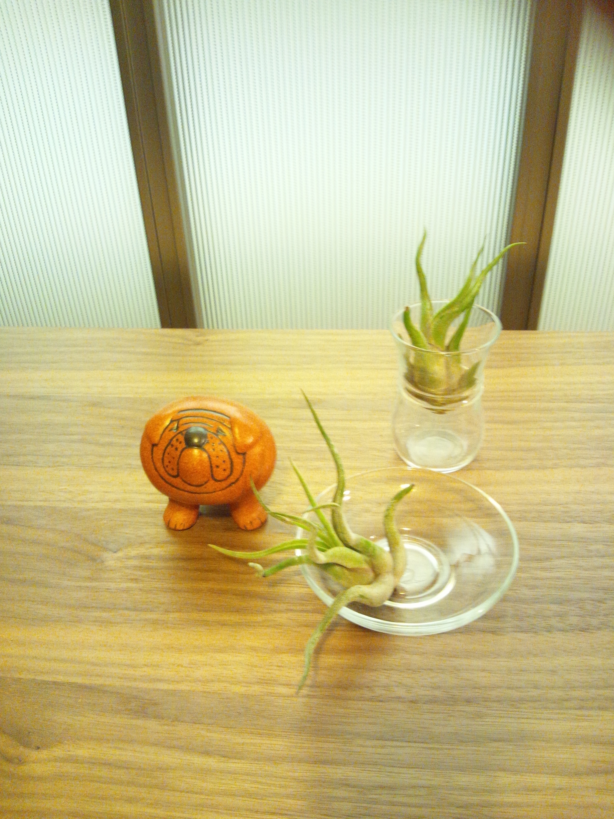 ﾘｻﾗｰｿﾝ