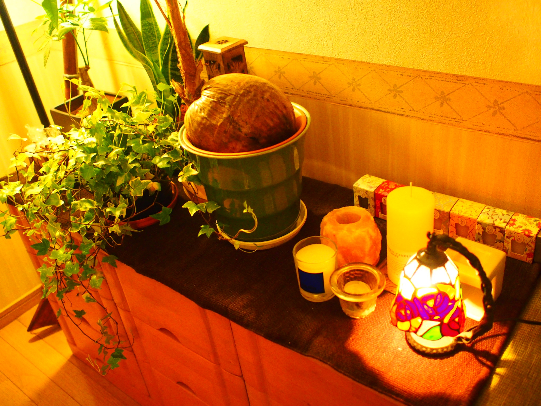 植物&キャンドル