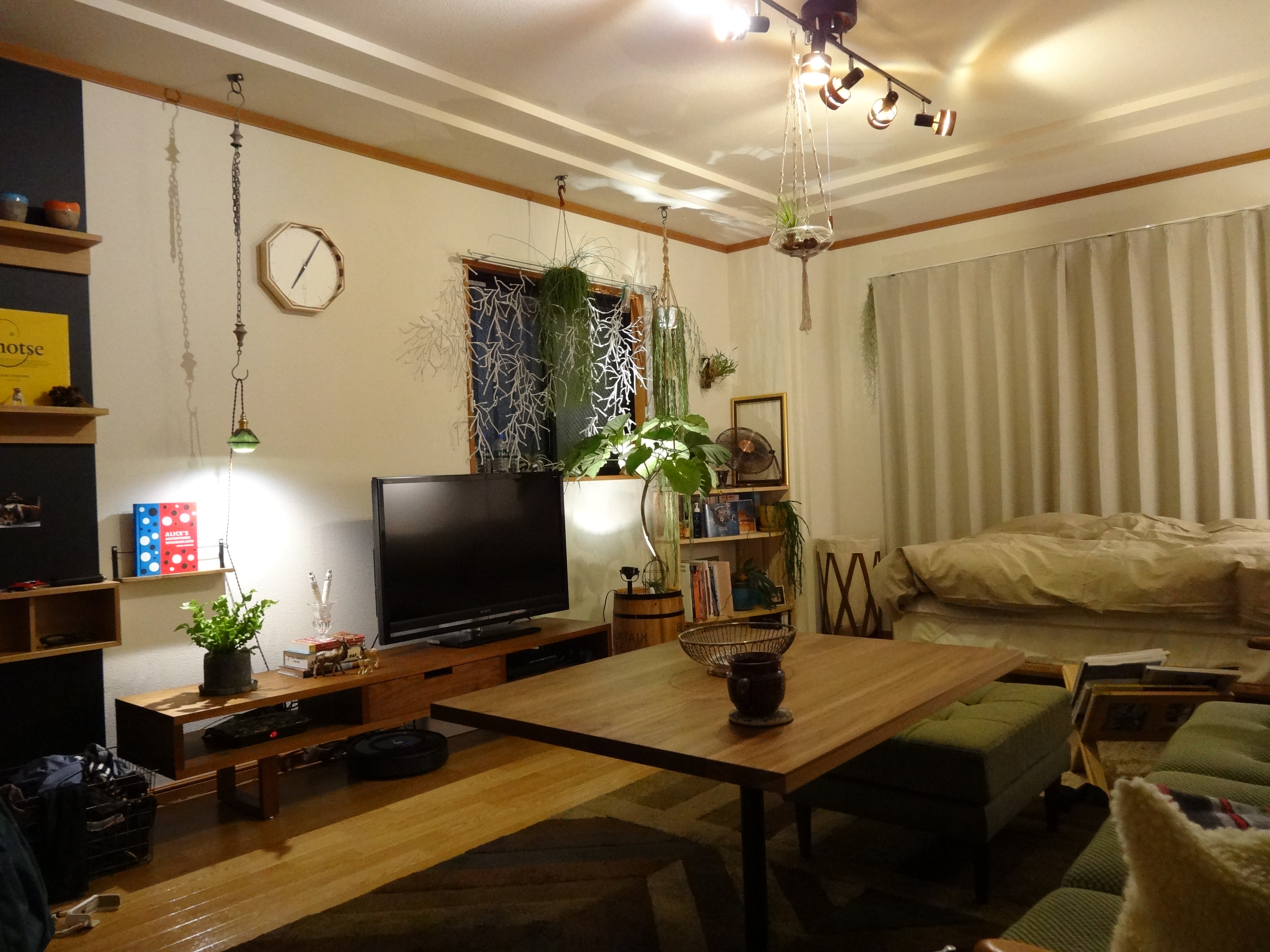部屋の東側 2014,4