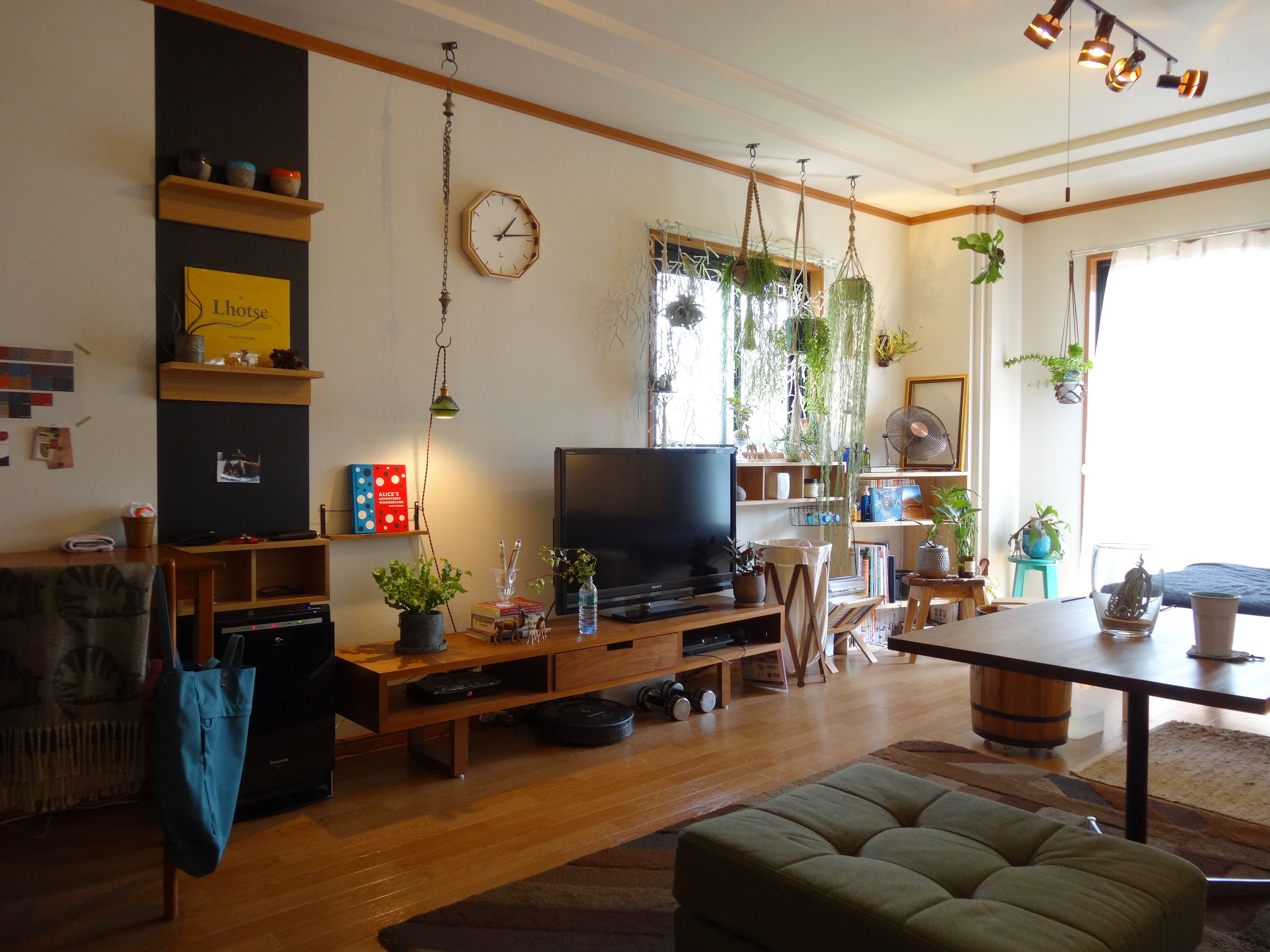 部屋の東側 2014,9