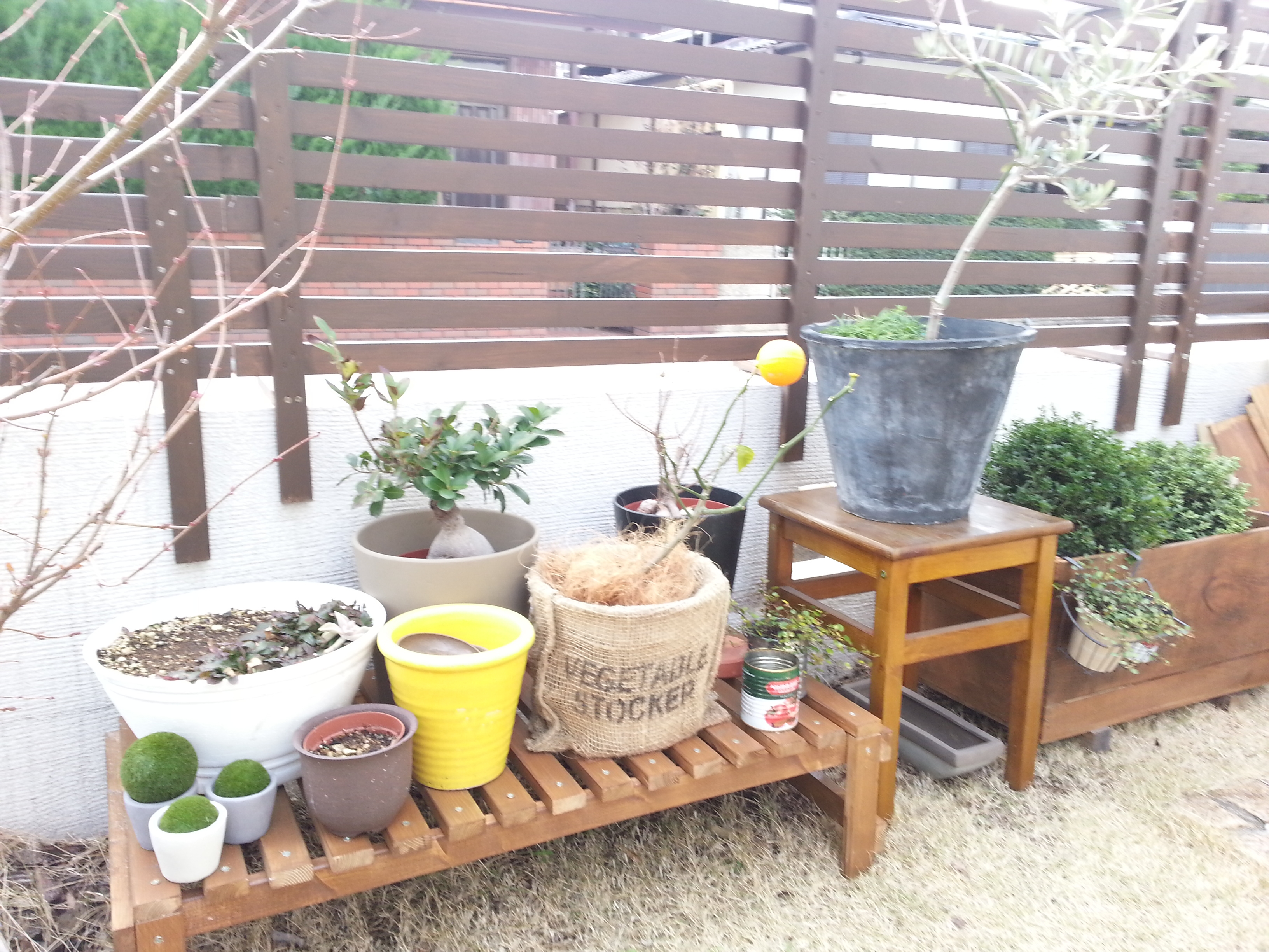 DIY!花台&リンゴの木箱の再利用!