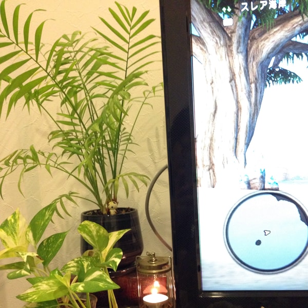 草③